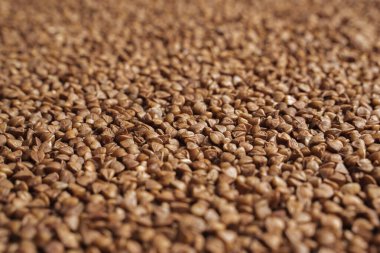 Karabuğday masaya saçılmış..