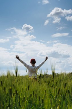 Genç bir delikanlı genç buğday tarlasında ellerini kaldırdı.