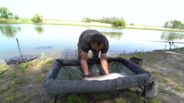 Ein Fischer Fängt Einen Fisch Freut Sich Über Den Fang — Stockvideo