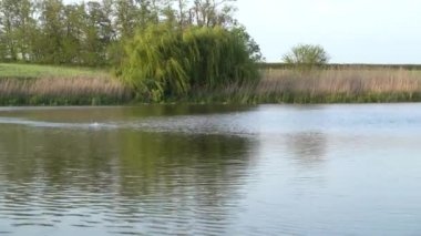 4 bin. Besleyici balıkçılıkta tamamlayıcı besleme, daha fazla besleme hazırlamak, balık yakalamak için uzun mesafeli roket yakalamak..