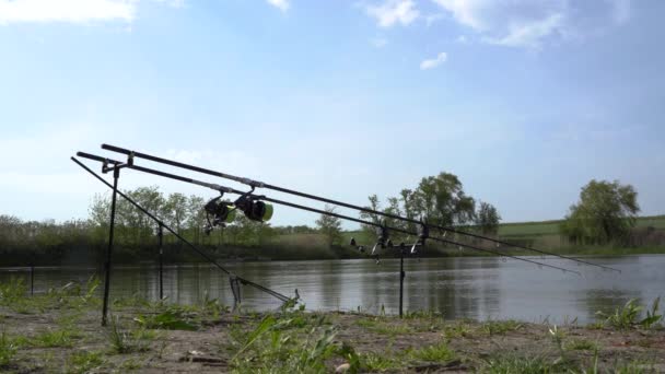 Angeln Ufer Mit Hochwertigem Fanggerät Spinning Zuverlässiger Rolle Und Starker — Stockvideo