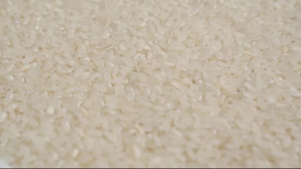 Fondo Arroz Grano Blanco Propiedades Útiles Zizania Ingrediente Producto Para — Vídeo de stock