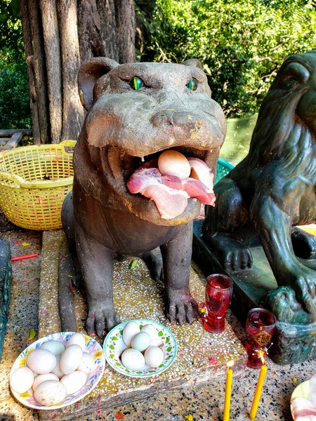 Phnom Penh Cambodge Décembre 2019 Chien Cadeau Temple Wat Phnom — Photo