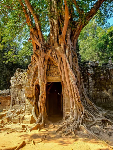 Сим Рип Камбоджа Декабря 2019 Года Храм Ангкор Ват Посещает — стоковое фото