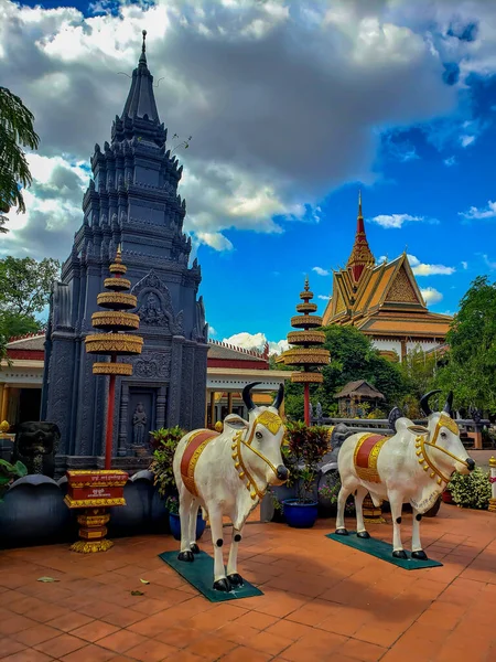 Siem Reap Cambodia December 2019 Angkor Wat Wat Preah Prom — 图库照片