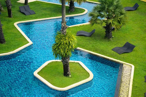 Palmiyeler, çimenler ve plaj yatakları olan açık havuz.