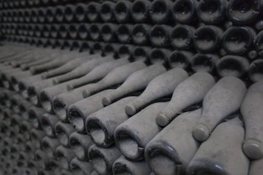 Fabrika mahzeninde tozlu şarap şişeleri