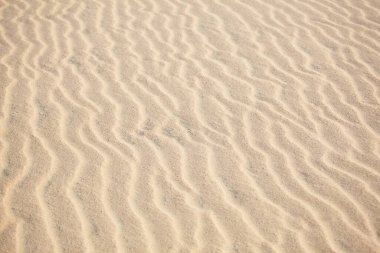 Kumsalda kum dalgaları
