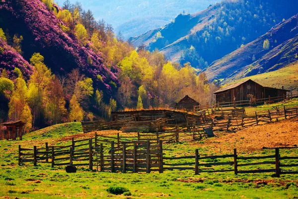 Ländliche Herbstlandschaft Den Bergen — Stockfoto