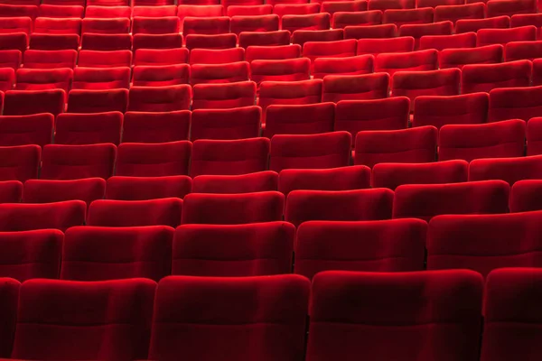 Auditorium Med Ett Reserverat Säte — Stockfoto