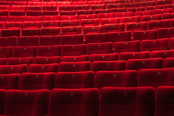 Auditorio Cinematográfico Con Asiento Reservado — Foto de Stock