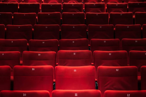 Helt Tomt Auditorium Utan Besökare — Stockfoto