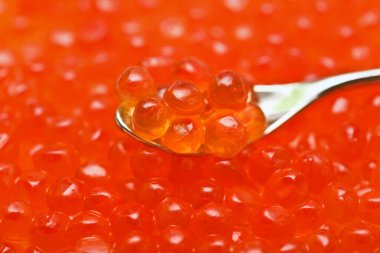 Kırmızı havyar taneleri ve gümüş kaşık.