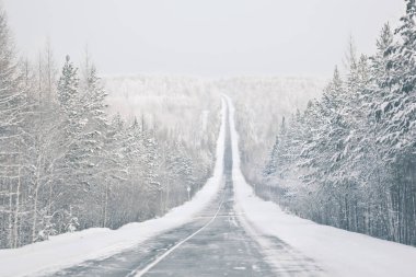Ormanın yukarısına giden kış yolu.