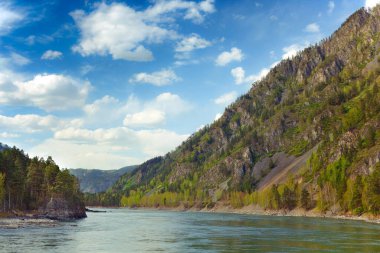 Dağ nehri Katun ormanında, Altai, Rusya