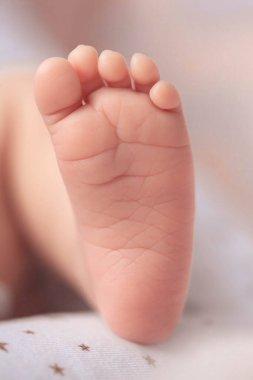 Küçük yeni doğmuş bebek ayağı