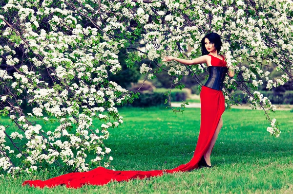 Belle Femme Robe Longue Rouge Avec Corset Train Avec Cerisier — Photo