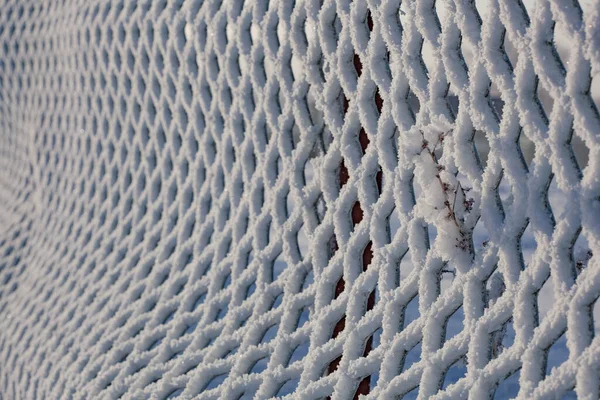 Snow Frost Fence — Stock Photo, Image