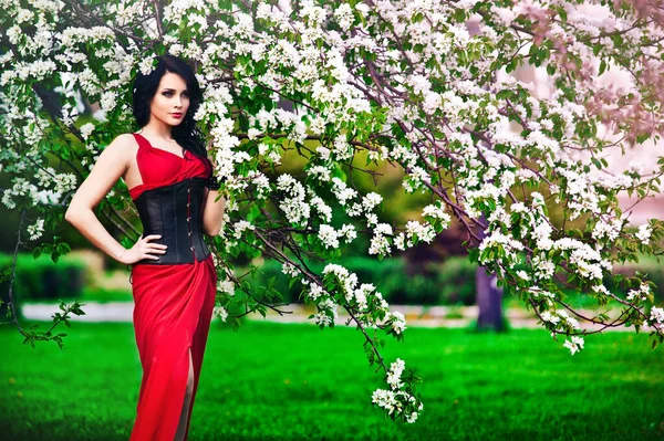 Vacker Kvinna Lång Röd Klänning Med Korsett Med Blommande Körsbärsträd — Stockfoto