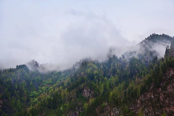 Niedrige Wolken Den Bergen — Stockfoto