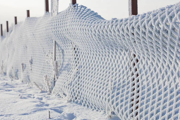 フェンスの雪と霜 — ストック写真