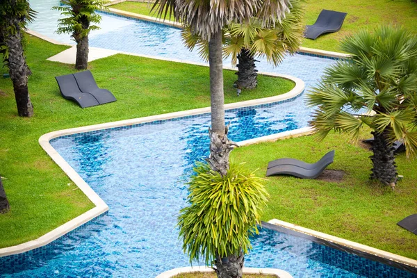 Palmiyeler, çimenler ve plaj yatakları olan açık havuz.