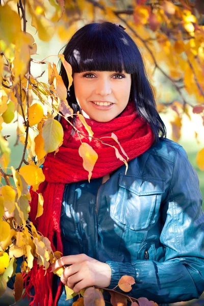 Güz ormanında genç ve çekici bir kızın portresi.