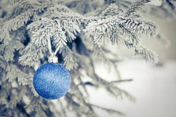 Firtree Branch Snow Ball Hanging Stock Picture