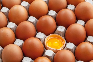 Tam kahverengi tavuk yumurtası ve kırık bir yumurta.