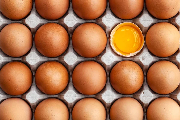Ovos de galinha castanhos inteiros e um ovo partido — Fotografia de Stock