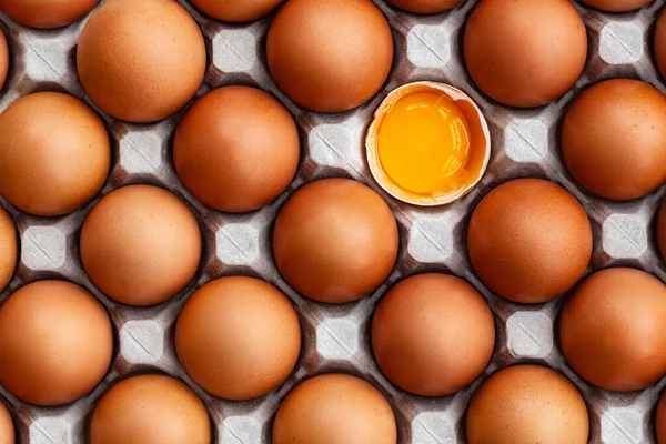 Tam kahverengi tavuk yumurtası ve kırık bir yumurta.