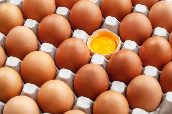 Tam kahverengi tavuk yumurtası ve kırık bir yumurta.