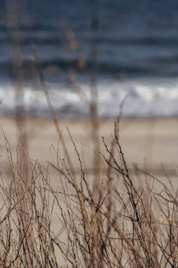 Long Island 'daki Montauk' ta Atlantik Okyanusu 'nun kum ve dalgalarının manzarası.