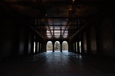 New York City, New York / USA - 24 Mayıs 2020: New York Central Park. NYC 'de yaz zamanı. Manhattan Parkı. Central Park 'taki Bethesda terasında. NYC 'nin tarihi mimarisi.