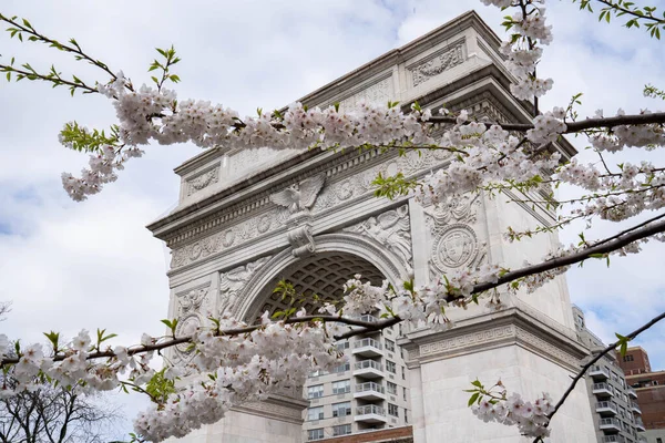 New York City, New York / ABD - 6 Nisan 2020 New York City 'de bahar zamanı kiraz çiçekli Washington Square Park kemeri