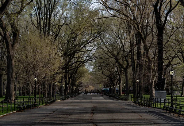 Nova Iorque Nova Iorque Eua Abril 2020 Beco Central Park — Fotografia de Stock