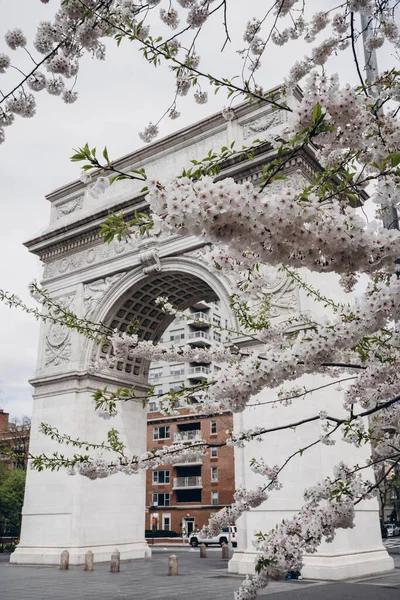 New York City, New York / ABD - 6 Nisan 2020 New York City 'de bahar zamanı kiraz çiçekli Washington Square Park kemeri