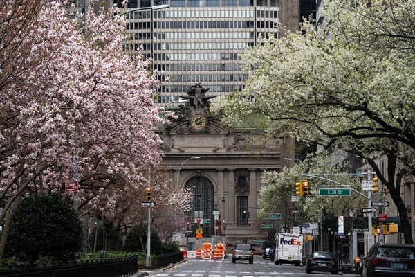 New York City, New York / ABD - 28 Mart 2020: Salgın sırasında boş şehir yolu kapatma, bahar mevsiminde sokaklarda manolya çiçekleri açan insan yok