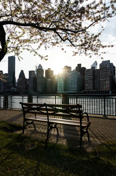 New York City New York Usa April 2020 Cherry Blossom — Stock Photo, Image