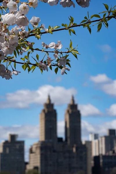 Eldorado Buildings View Central Park New York City Spring Time — Stock Photo, Image