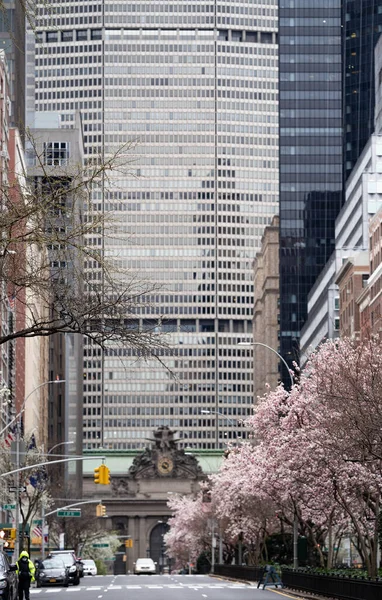 ニューヨーク市 2020年3月28日 パンデミックコロナウイルス発生時の空の都市道路閉鎖 春がマグノリアの花で開花している間の路上の人はいません — ストック写真