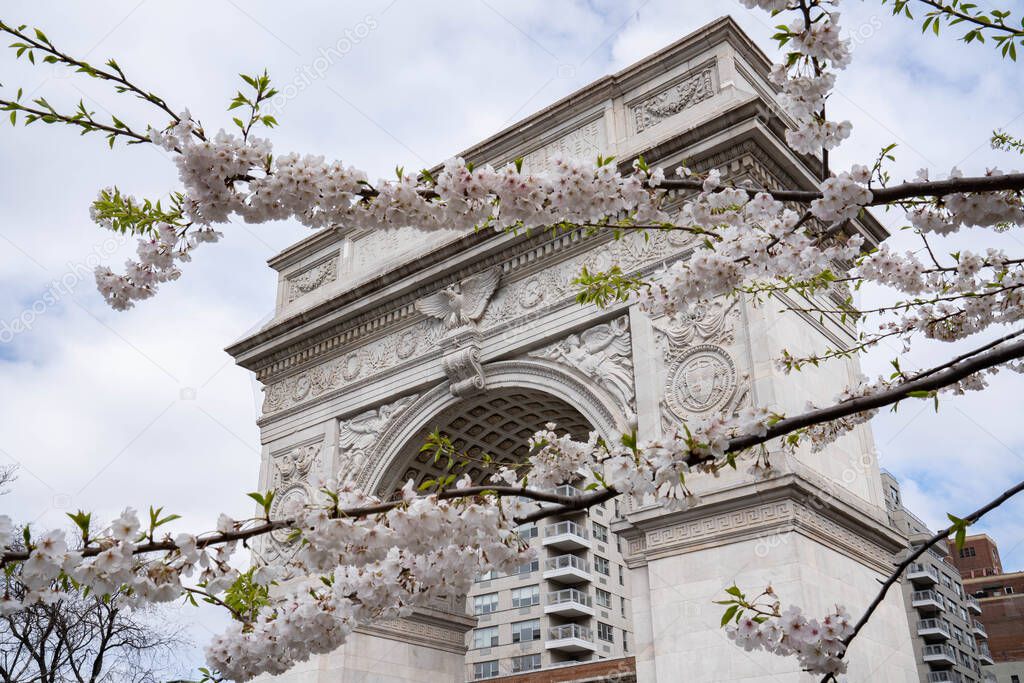 New York City, New York / USA - April 6 2020: Washington Square park arch with cherry blossom in spring time in New York City Manhattan