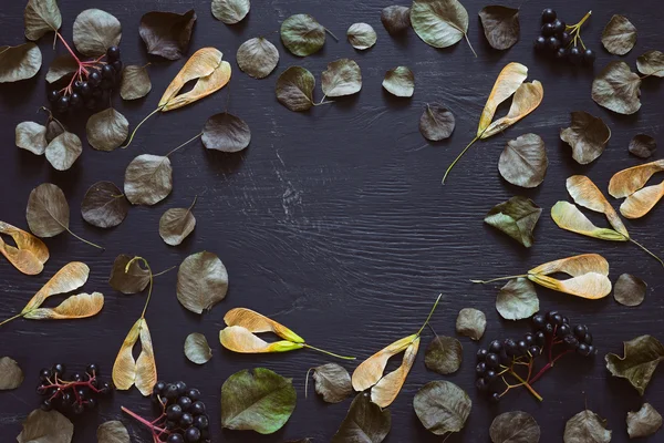 Fondo oscuro y pálido de otoño — Foto de Stock