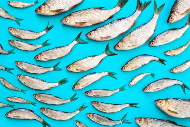 Deniz yiyeceği konsepti