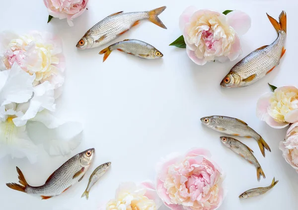 Fishes and flowers background