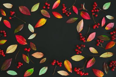 Sonbahar mevsimlik koyu arka plan