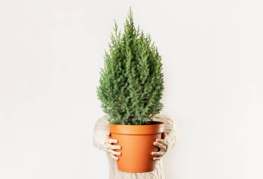 Minimalist çevre dostu Noel konsepti