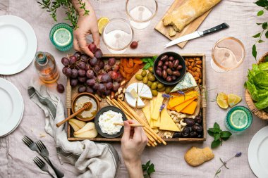 Yazın açık hava partisi için peynir tabağı, çeşitli peynir ve gül şarabı içeren kırsal masa manzarası.
