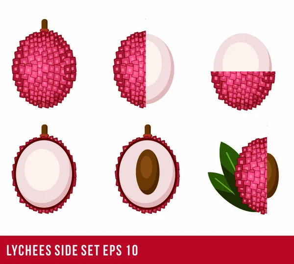 Lychees simgeleri ayarlandı. Web tasarımı için düz vektör çizim simgeleri. Lychee 'nin yanında. Yaprak derisi ve çekirdek