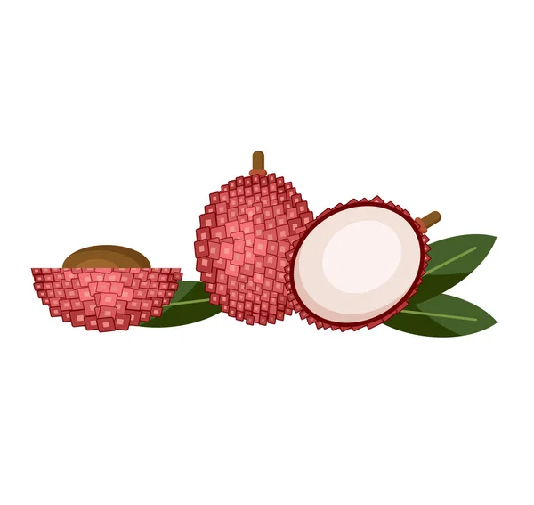 Lychees beyazlar üzerinde izole. Web tasarımı için düz vektör çizim simgeleri. Lychee 'nin yanında. Yaprak derisi ve çekirdek